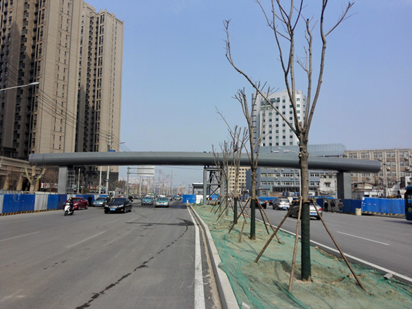 31 55世纪-追求健康,你我一起成长