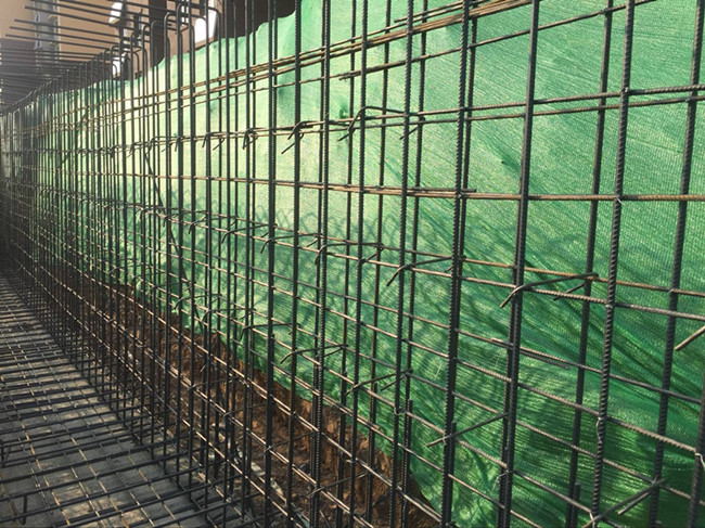 55世纪-追求健康,你我一起成长